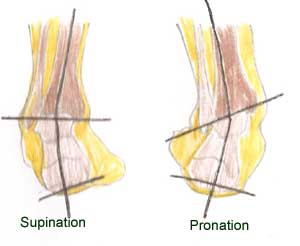 Foot positions - supination and pronation